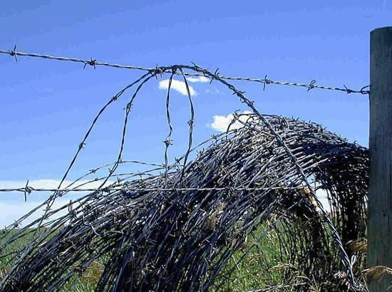 Barbed wire for steel wire