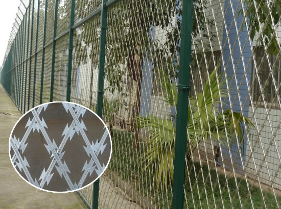 Galvanized razor wire fence mesh framed with tubular posts for residential security