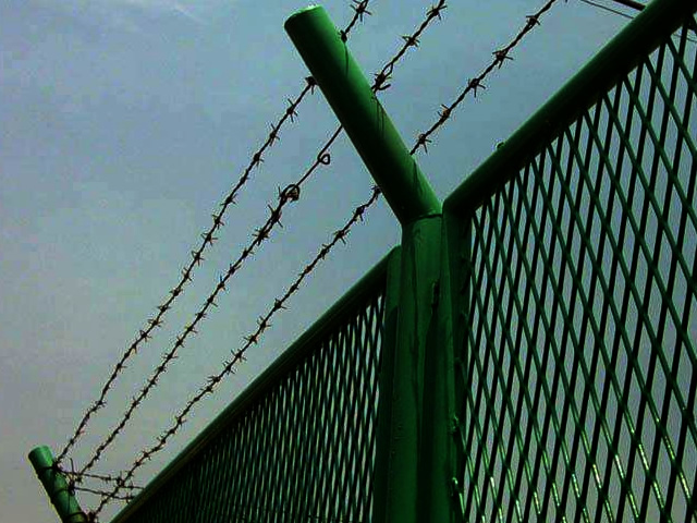 Green coated barbed wire and wire mesh fence