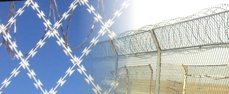 Razor Wire for 358 Mesh